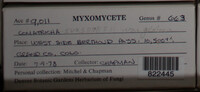 Image Associated With the Occurence